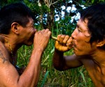 Pueblo de chamanes que rinden culto a la magia del bosque amazónico, los Matsés de Brasil y Perú se unen para defender su territorio.