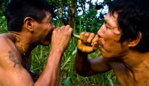 Pueblo de chamanes que rinden culto a la magia del bosque amazónico, los Matsés de Brasil y Perú se unen para defender su territorio.