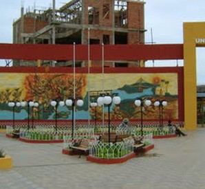 "Productos Derivados de la Moringa" es el proyecto presentado por la UAP, en asociación con la Umss de Cochabamba.