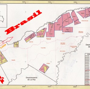 En este mapa oficial difundido por el Gobierno, se observan, en color amarillo, los “recortes” exigidos a las concesiones forestales (áreas rosadas) para entregar tierras agrícolas a miles de colonos y electores agricultores del occidente. En la frontera con el Perú las concesiones forestales prácticamente han desaparecido y en su lugar predominan las comunidades “interculturales”. Las autoridades brasileñas temen que por esos senderos sin control atraviesa la cocaína peruana que es intensamente traficada hacia los mercados negros del Brasil utilizando como puente la ciudad de Cobija.