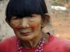 Busi Yacu, identidad Pacahuara