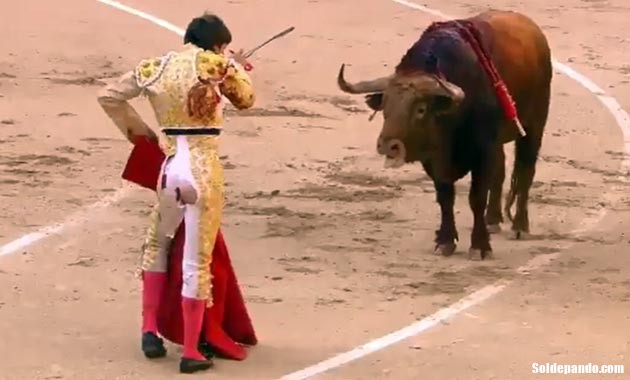 El toro dio su oreja, el torero dio sus nalgas Sol de