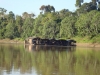 Dragas ilegales que surcan los ríos de Pando derramando mercurio. | Foto Sol de Pando