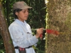 La catalogación de árboles como parte del estudio. | Foto cortesía Rainfor