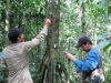 Los investigadores aplican tecnología del GPS para catalogar los árboles. | Foto Cortesía Rainfor