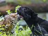 GALERÍA | La especie en evolución