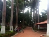 Neblina08