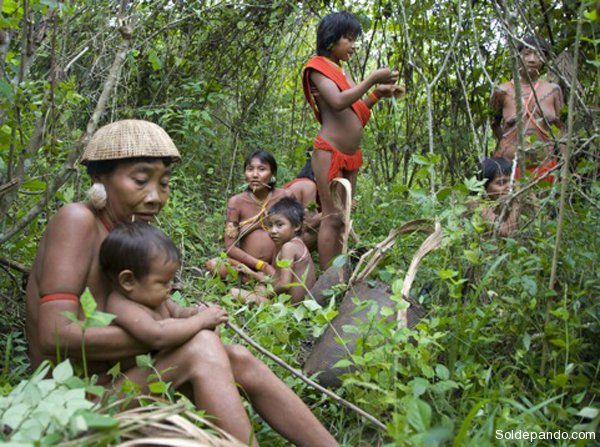 Niños del Pueblo Yanomami