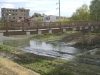 5Rio