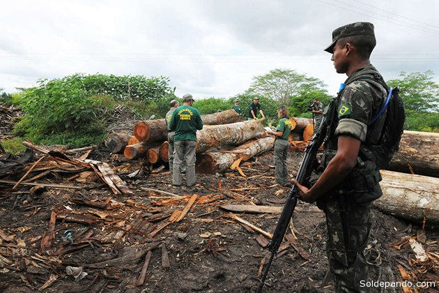 El ejército brasileño ha llegado a la zona para detener la tala ilegal alrededor de la tierra de los awás. | Foto ©Exército Brasileiro - Survival