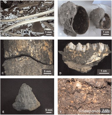 Los análisis de radiocarbono aplicados al carbón indican que los grupos de cazadores-recolectores “se establecieron en la región a principios del período del Holoceno, es decir, hace aproximadamente 10.400 años. 