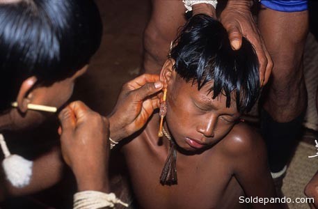 El niño que pasa a la adolescencia tiene un padrino que le perfora las orejas en el rito de la Wate’wa. | Foto Rosa Gauditano