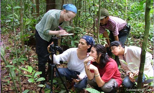 Los investigadores de la Universidad de Leeds, Inglaterra, en una de las parcelas forestales donde estudiaron 30 años en la vida de los bosques amazónicos. | Foto cortesía Rainfor